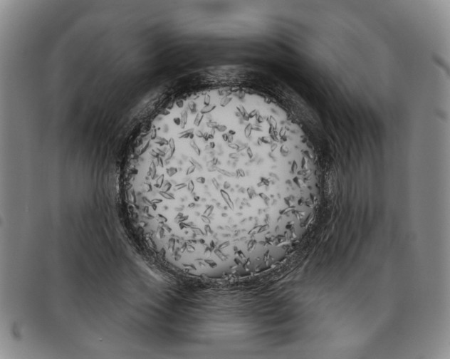 X0000097470733200803141912
