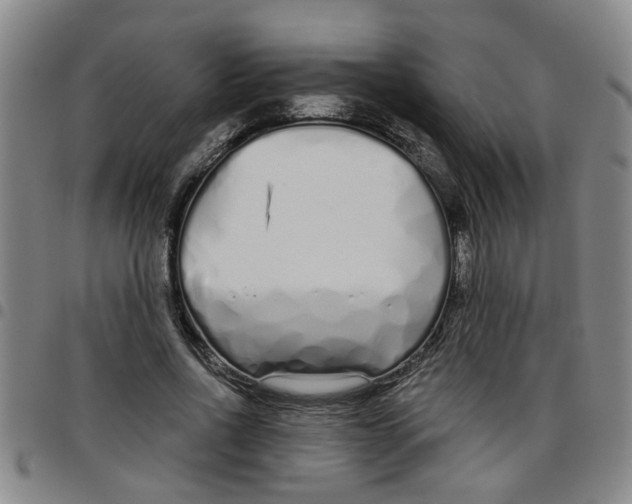 X0000097470734200803141912