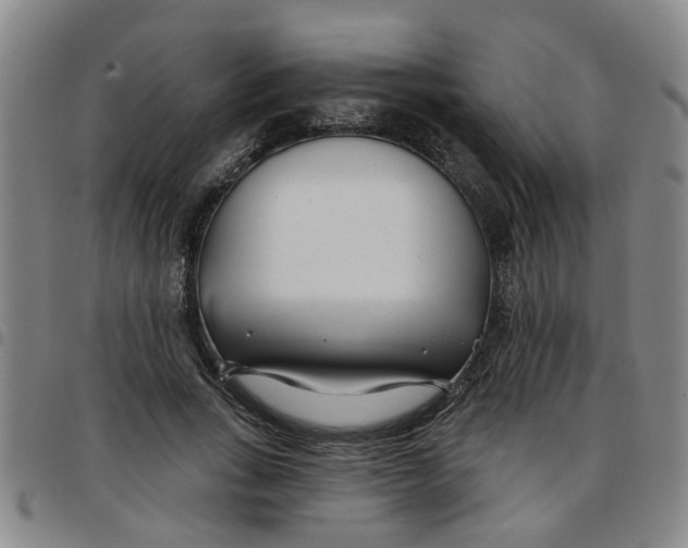 X0000097470735200803141912