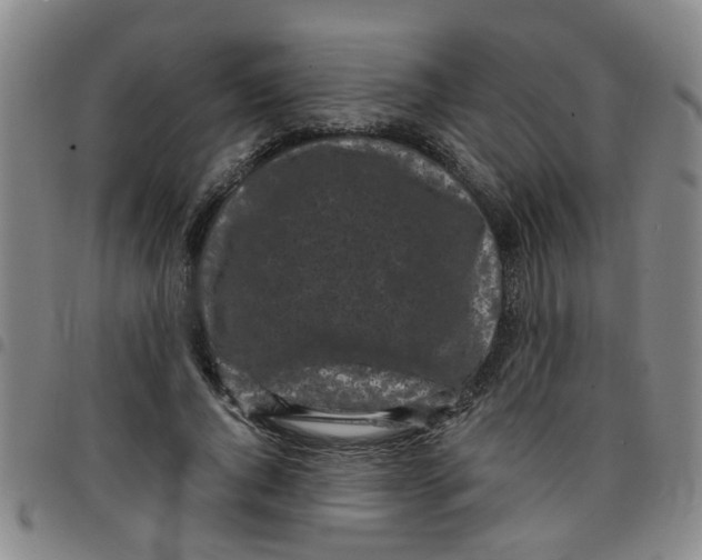 X0000097470736200803141912
