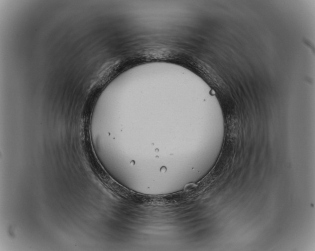 X0000097470738200803141912