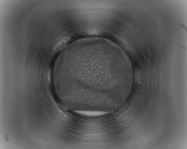 X0000097470740200803141912