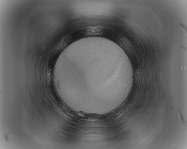 X0000097470741200803141912