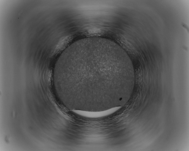 X0000097470742200803141912