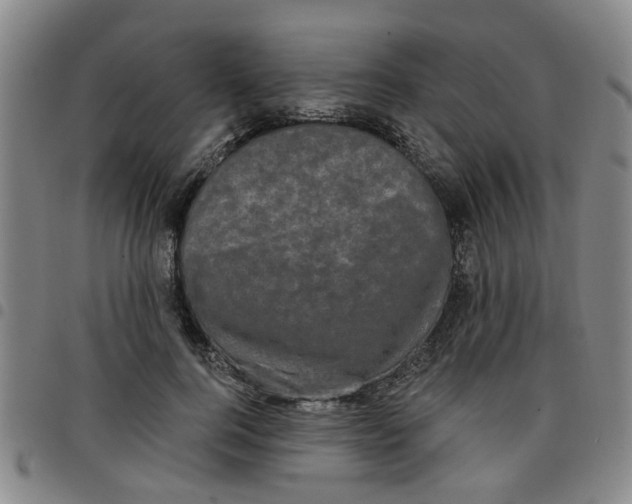 X0000097470744200803141912