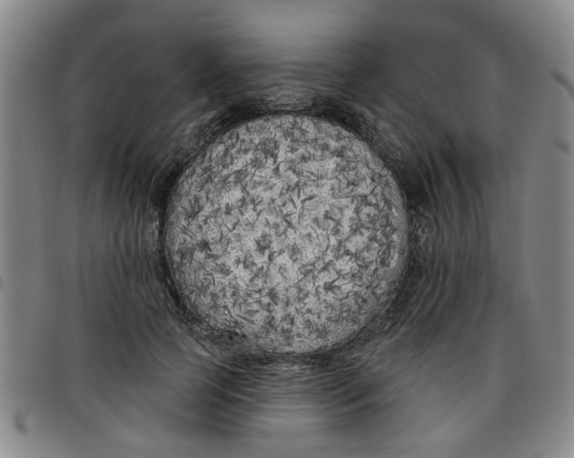 X0000097470745200803141912