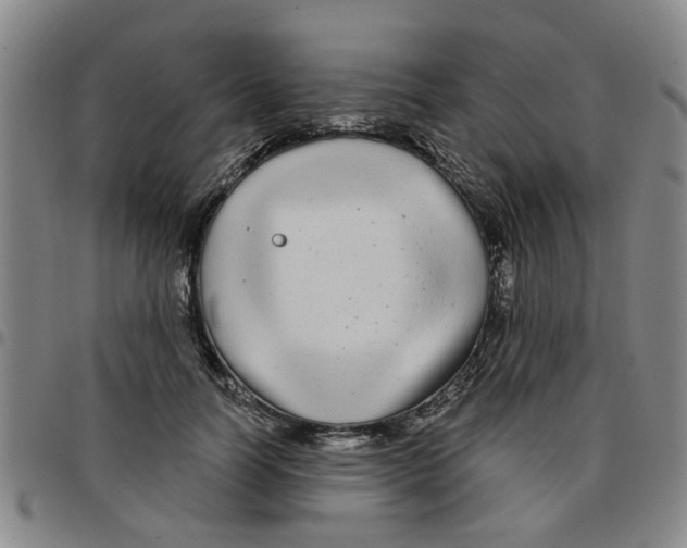 X0000097470746200803141912