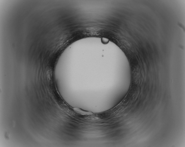 X0000097470747200803141912