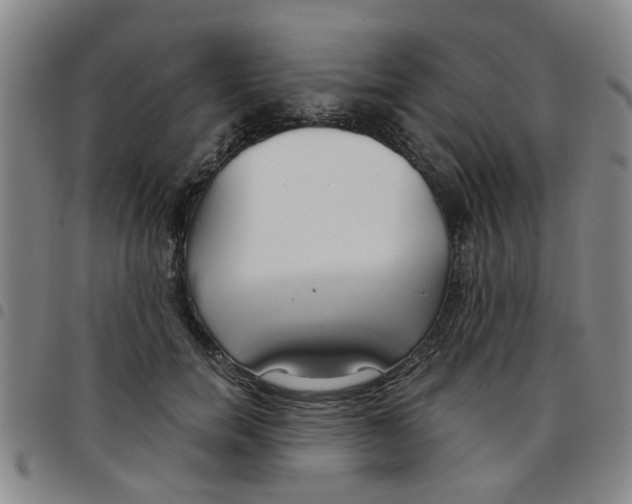 X0000097470750200803141912