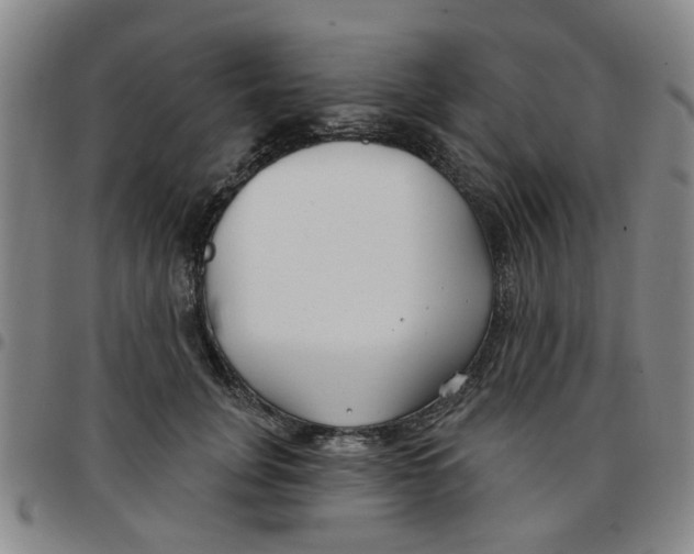 X0000097470751200803141913
