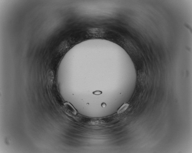 X0000097470752200803141913