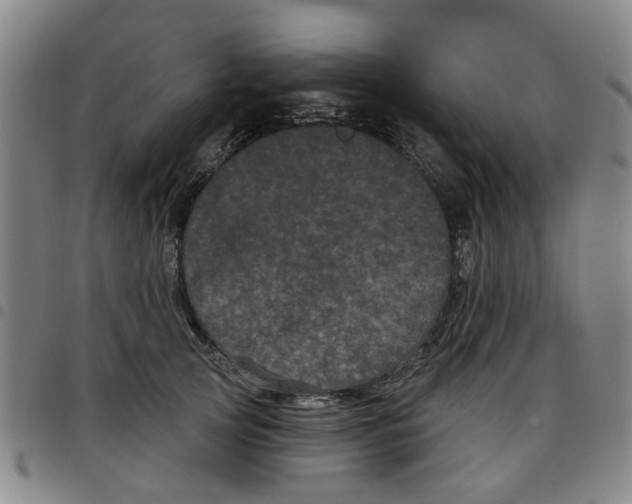 X0000097470753200803141913