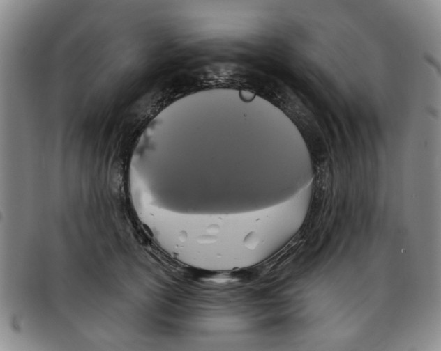 X0000097470754200803141913
