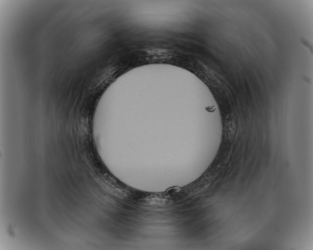 X0000097470756200803141913