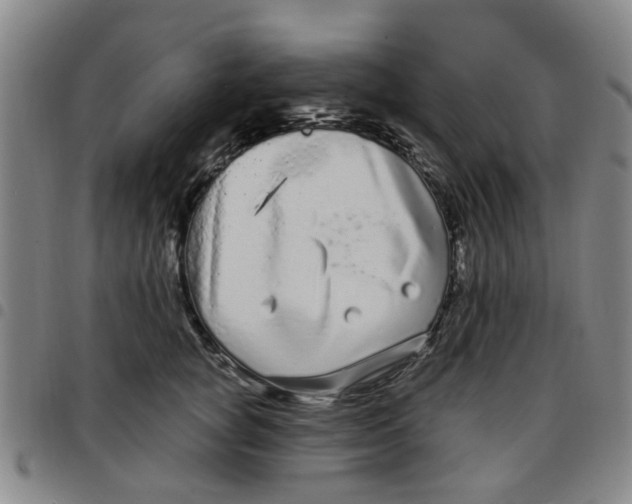 X0000097470757200803141913