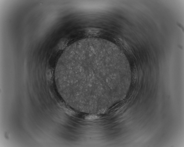 X0000097470759200803141913