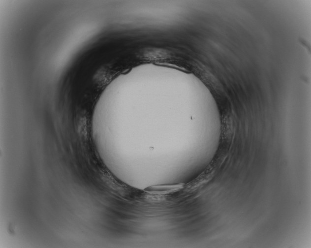 X0000097470762200803141913