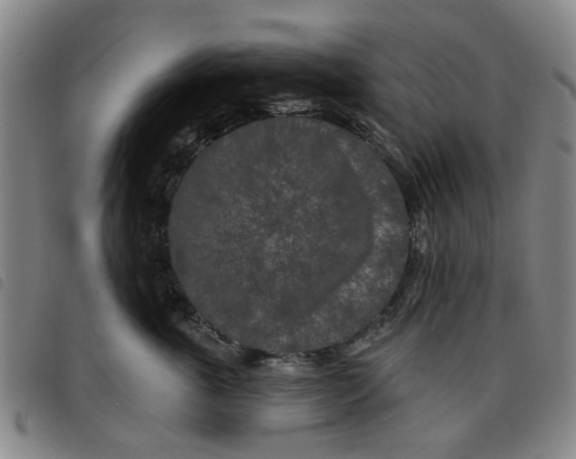 X0000097470763200803141913