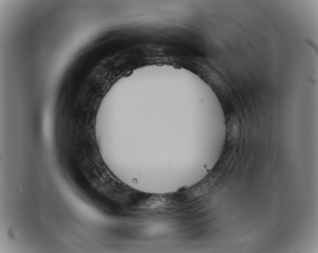 X0000097470764200803141913