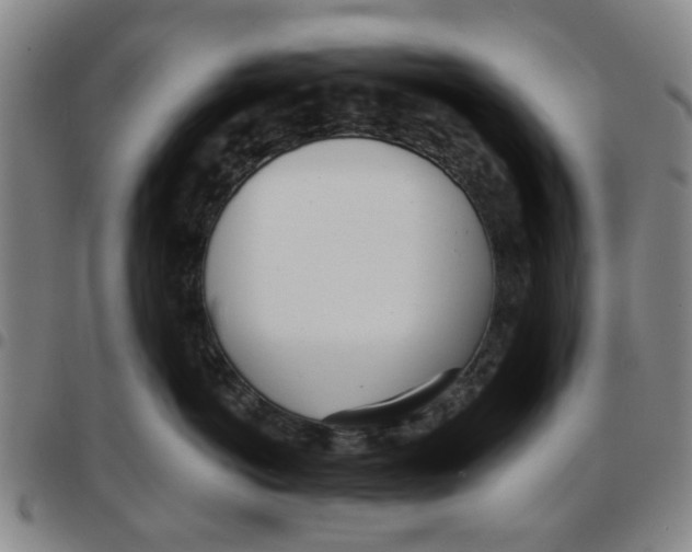 X0000097470766200803141913