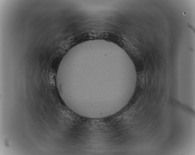 X0000097470770200803141912