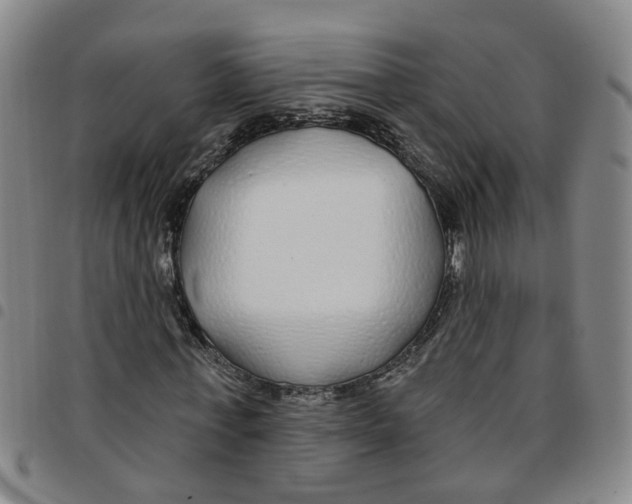 X0000097470771200803141912