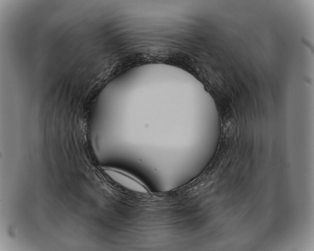 X0000097470772200803141912