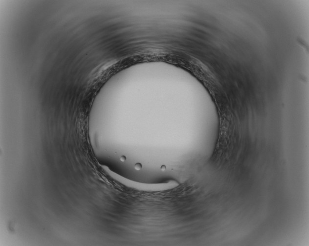 X0000097470773200803141912