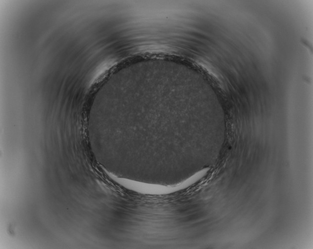 X0000097470775200803141912