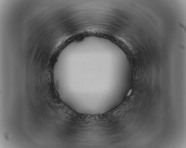 X0000097470776200803141912