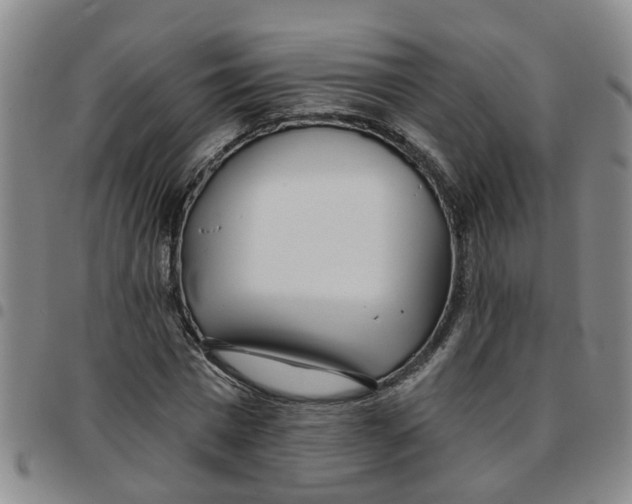 X0000097470777200803141912