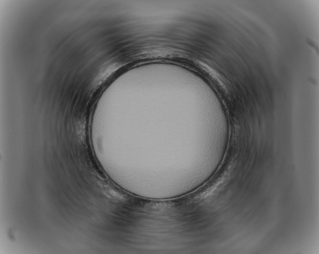 X0000097470778200803141912