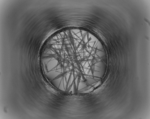 X0000097470779200803141912