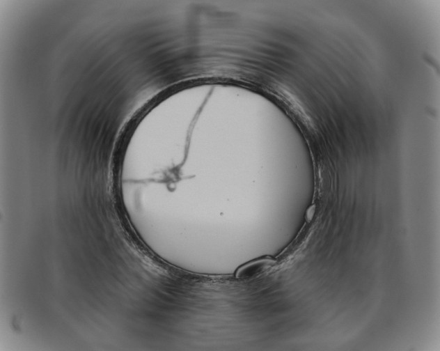 X0000097470780200803141912