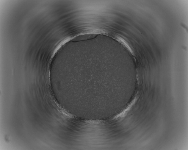 X0000097470781200803141912