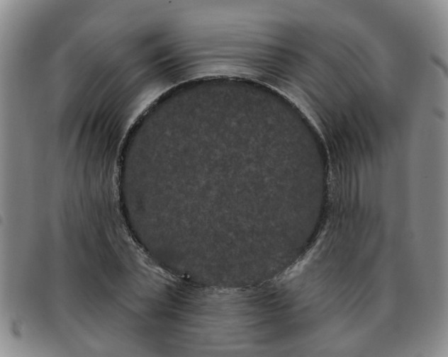 X0000097470783200803141912