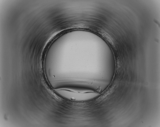 X0000097470784200803141912