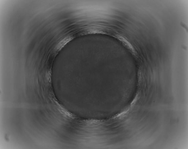 X0000097470785200803141912