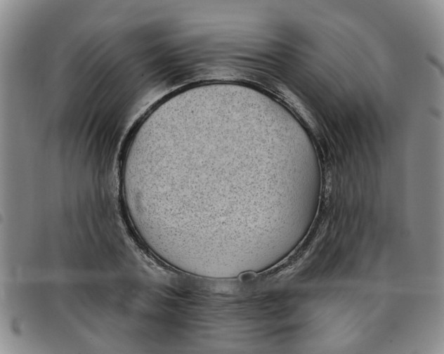 X0000097470787200803141912