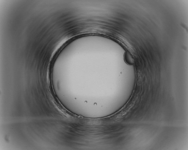 X0000097470788200803141912