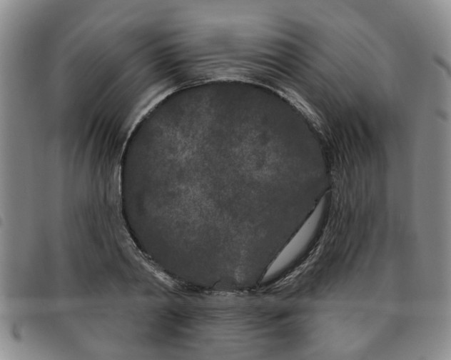 X0000097470790200803141912