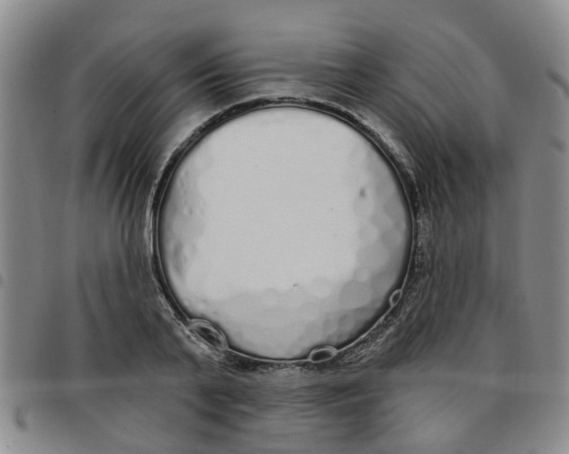 X0000097470791200803141912