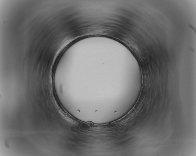 X0000097470792200803141912