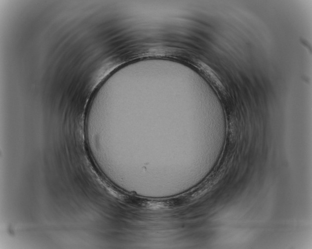 X0000097470794200803141912
