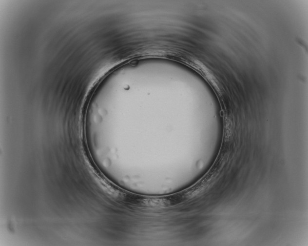 X0000097470795200803141912