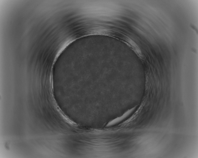 X0000097470796200803141912