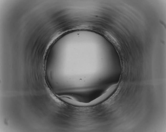 X0000097470800200803141912