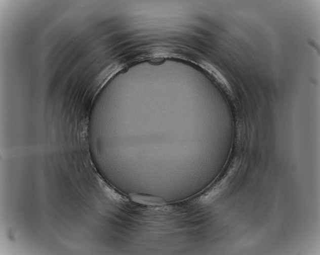 X0000097470801200803141912