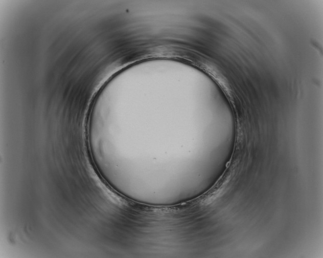 X0000097470803200803141912