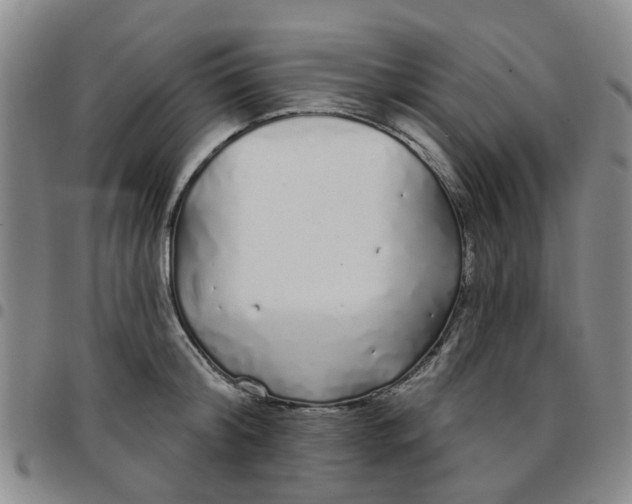 X0000097470804200803141912